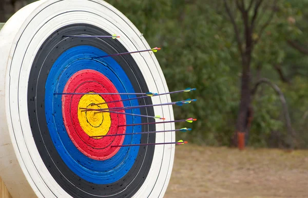 Archery target full of arrows — Stock Photo, Image