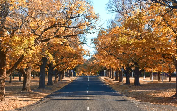 Höstens landsväg — Stockfoto