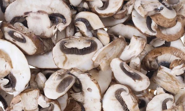 stock image Mushrooms