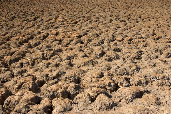 Cama de lago seco — Foto de Stock