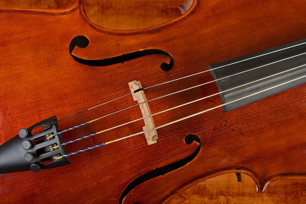 Violoncelo ou violino — Fotografia de Stock
