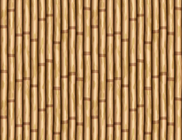 Bambuswand — Stockfoto