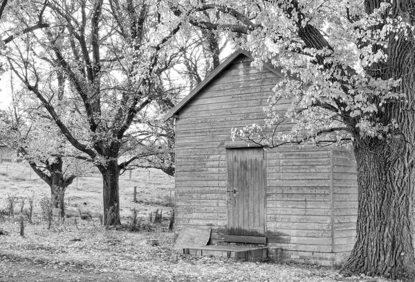 Old shed — Stock Photo, Image