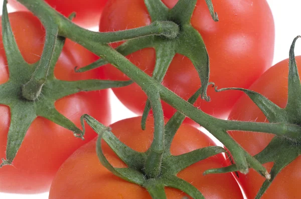 Tomatoes on vine — Stock Photo, Image