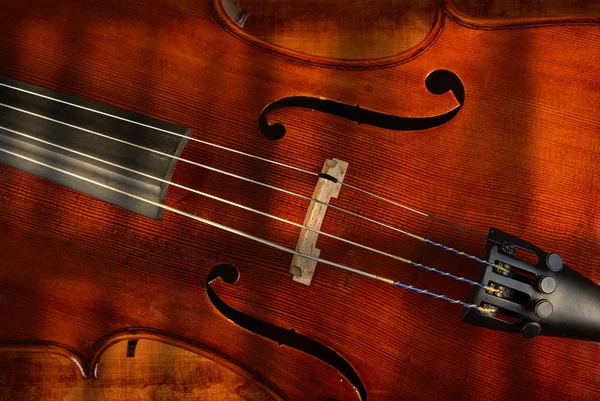 大提琴或小提琴 — 图库照片