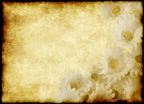 花卉羊皮纸 — 图库照片