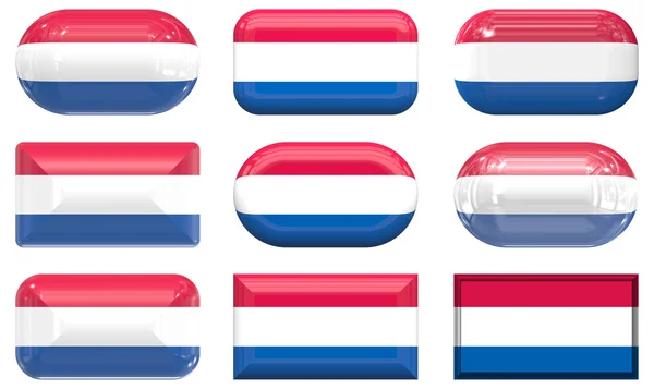 Ni glasknapper på Nederlandenes flag - Stock-foto
