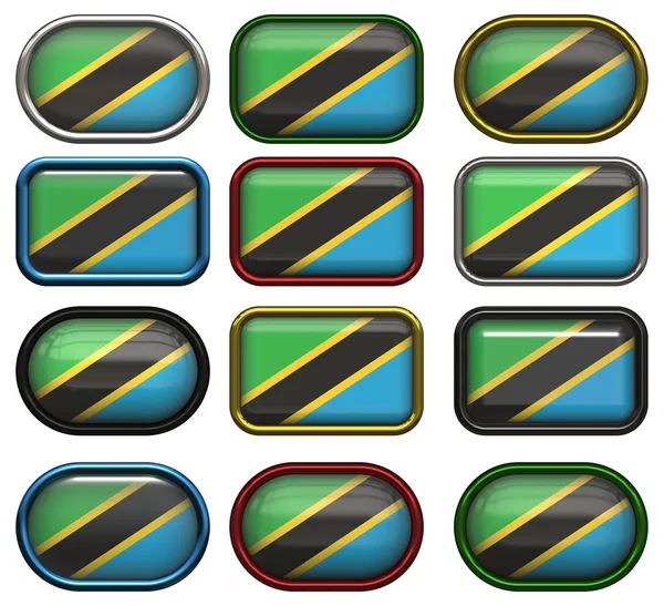 Doce botones de la bandera de Tanzania —  Fotos de Stock