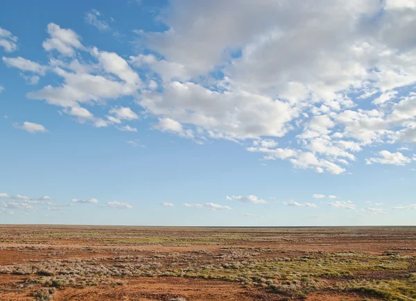 Desierto australiano — Foto de Stock