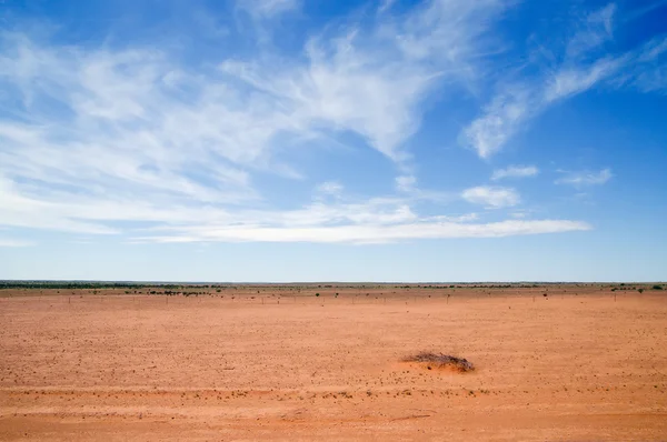 Australian red desert — Stock Photo, Image