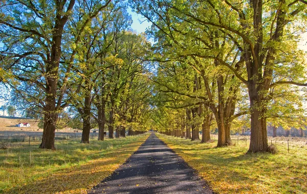 Autunno Country Road — Foto Stock