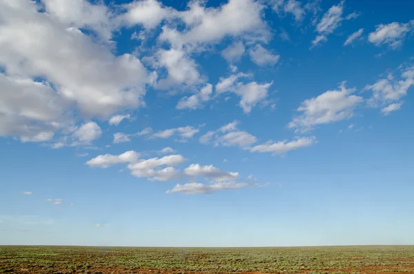Австралийская пустыня — стоковое фото