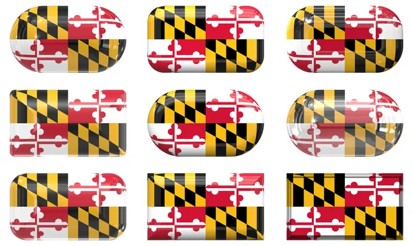 stock image Buttons of the Flag of Maryland