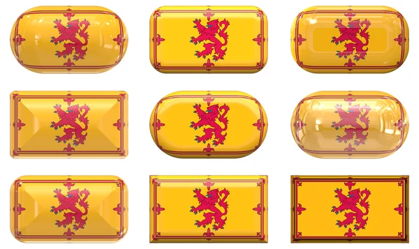 Dokuz cam düğmeleri İskoçya bayrağı — Stok fotoğraf