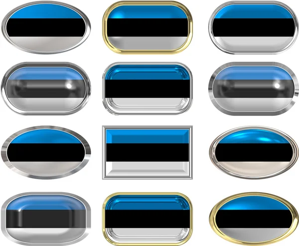 Tolv knappar för estnisk flagg — Stockfoto