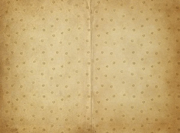 Starý pergamen papír — Stock fotografie