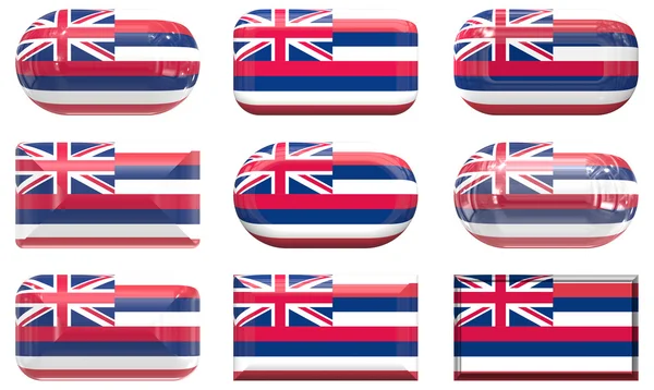 9 个玻璃按钮的旗子的夏威夷 — 图库照片