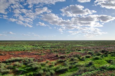 Desert after rain clipart