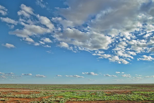 Australische woestijn na regen — Stockfoto