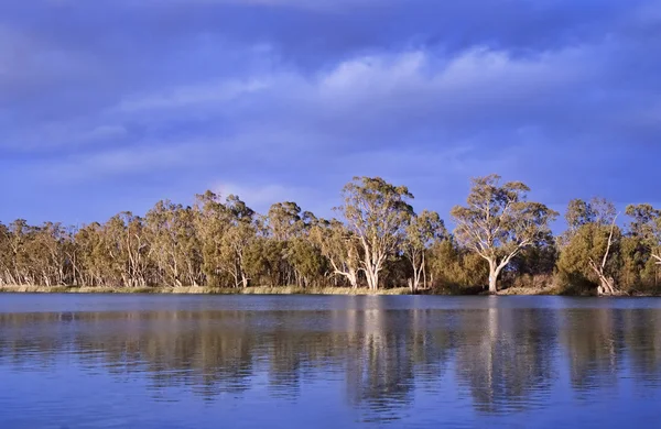 River murray south australia — Stock Photo, Image