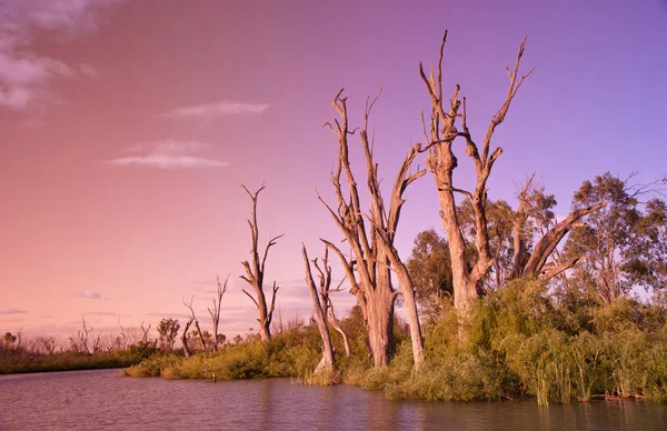 Rio Murray por do sol — Fotografia de Stock