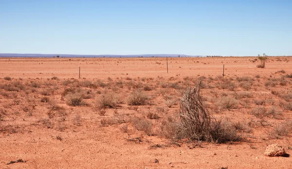 Australische rode woestijn — Stockfoto