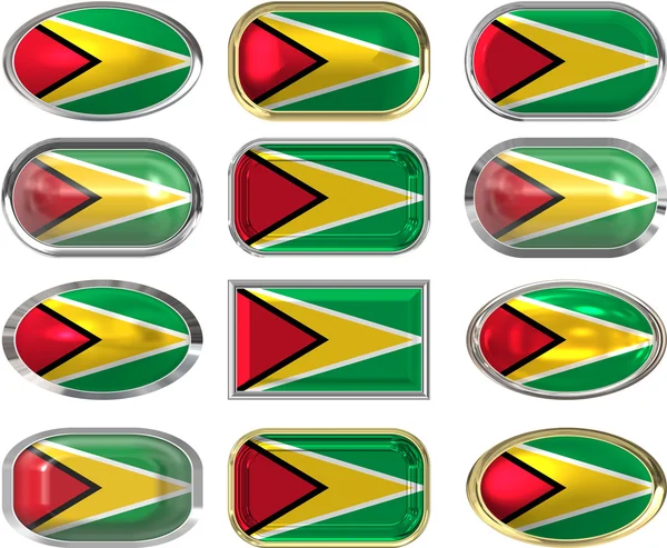 Twelve buttons of the Flag of Guyana — Stock Photo, Image