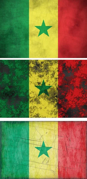 Senegal Cumhuriyeti bayrağı — Stok fotoğraf