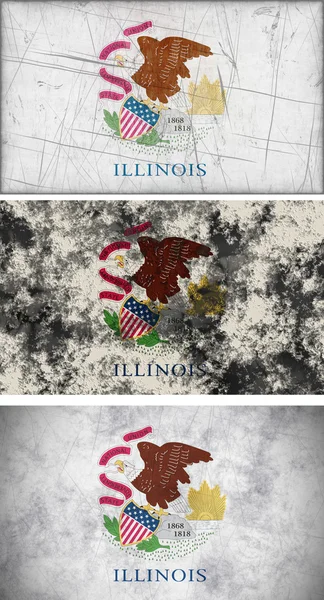 Illinois zászlaja — Stock Fotó