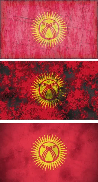 Flag of kyrgyzstan — Stock Photo, Image