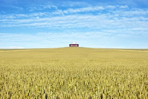 House in the middle of a field — Stock Photo, Image