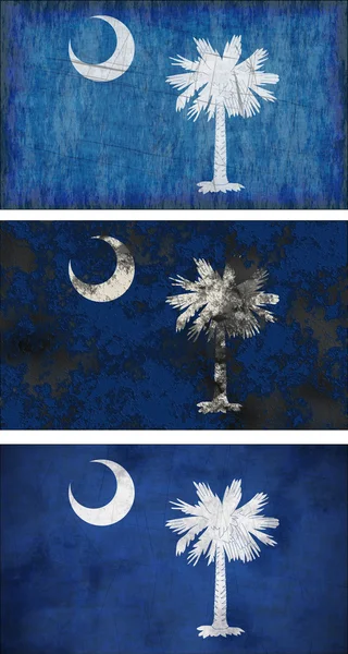 Bandera de South Carolina — Foto de Stock