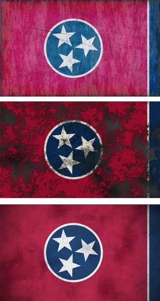 国旗的田纳西 — 图库照片