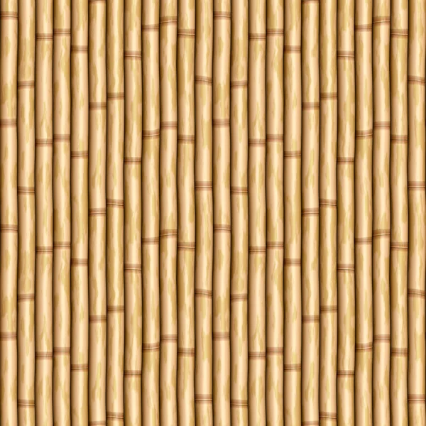 Bamboo wall — Stock Vector