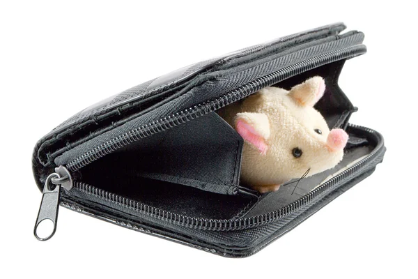 鼠标获取了一个钱包 — 图库照片#