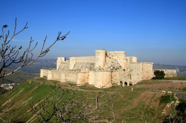 Syria. Crac des Chevaliers clipart