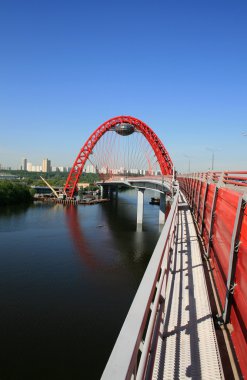 Picturesque bridge, Moscow, Russia clipart