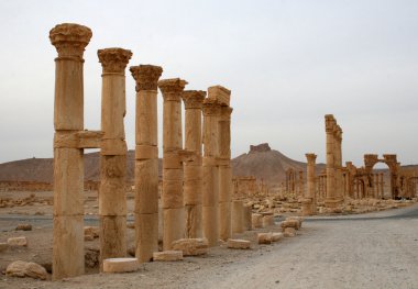 Palmyra clipart