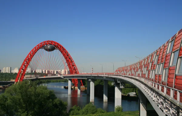 stock image Picturesque bridge, Moscow, Russia