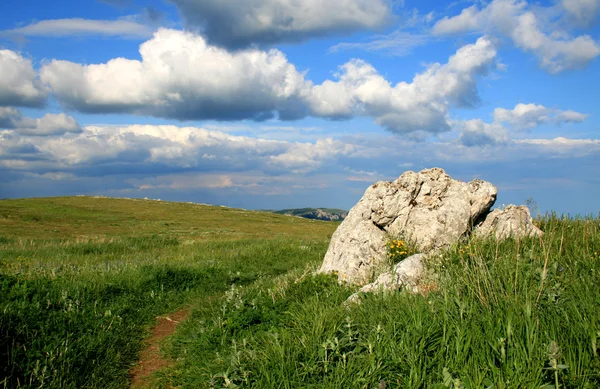 Мальовничий пейзаж з каменем — стокове фото