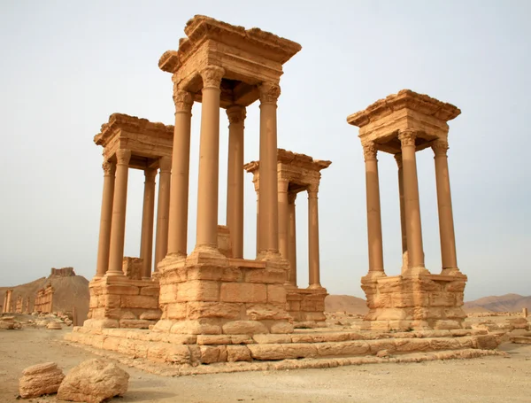 Palmyra — Stock Fotó