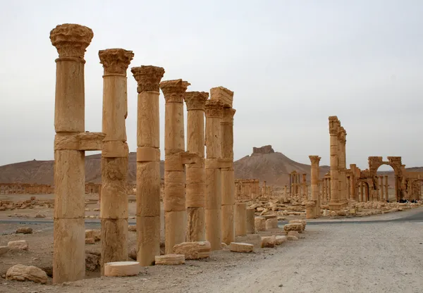 Palmyra — Stok fotoğraf