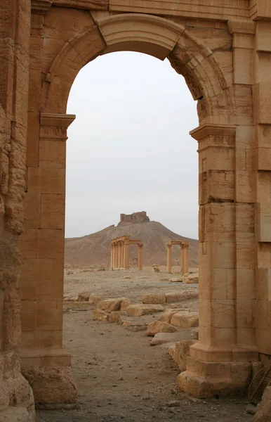 Пальмира — стоковое фото