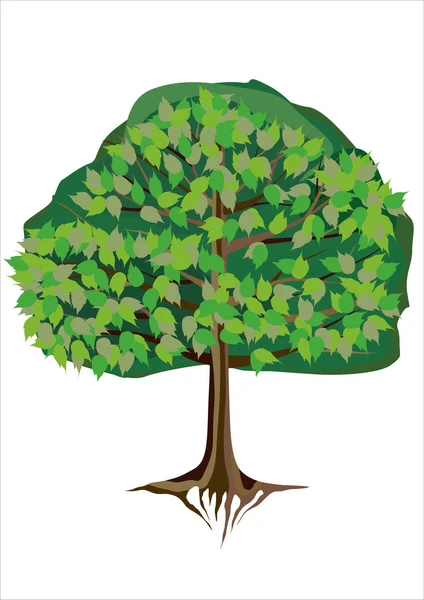Zielone drzewo — Wektor stockowy