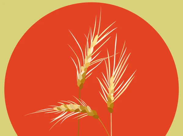 Ears of wheat and sun — Stock Vector