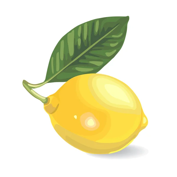 Limón — Vector de stock