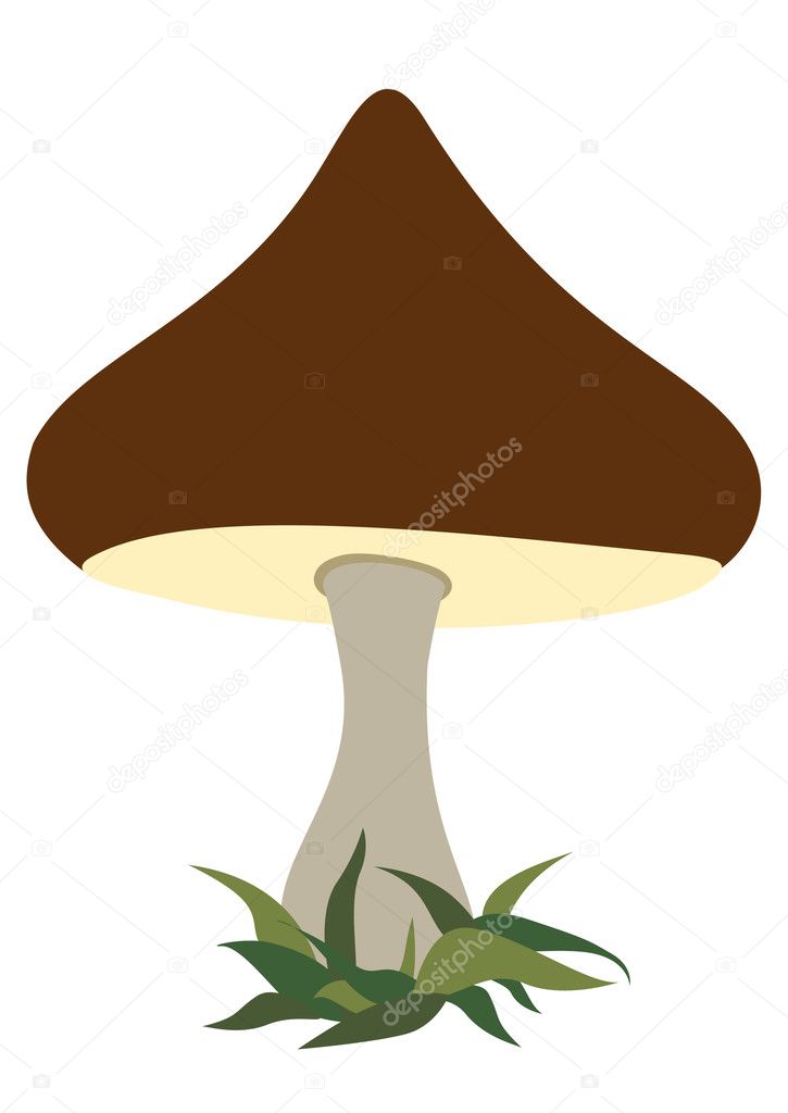 Cartoon mushroom