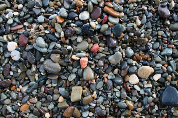 stock image Stoned beach