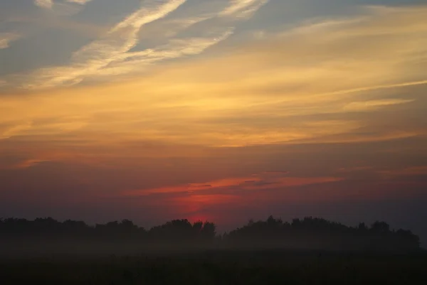 stock image Sunset