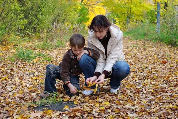 Matka a syn sběr spadaného listí — Stock fotografie